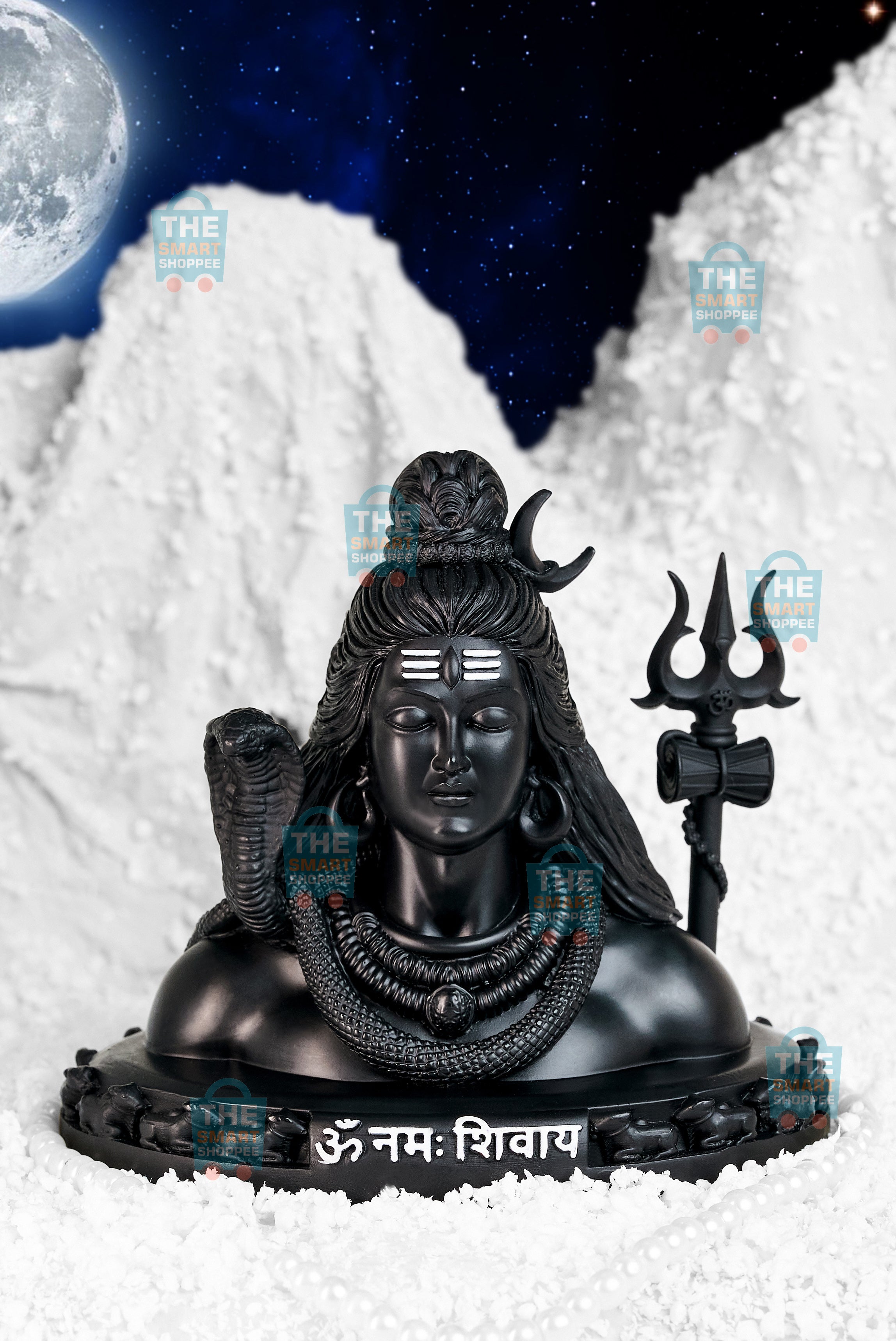 Yogeshwaraya Mahadevaya Sada Shivaya Shankaraya Namah