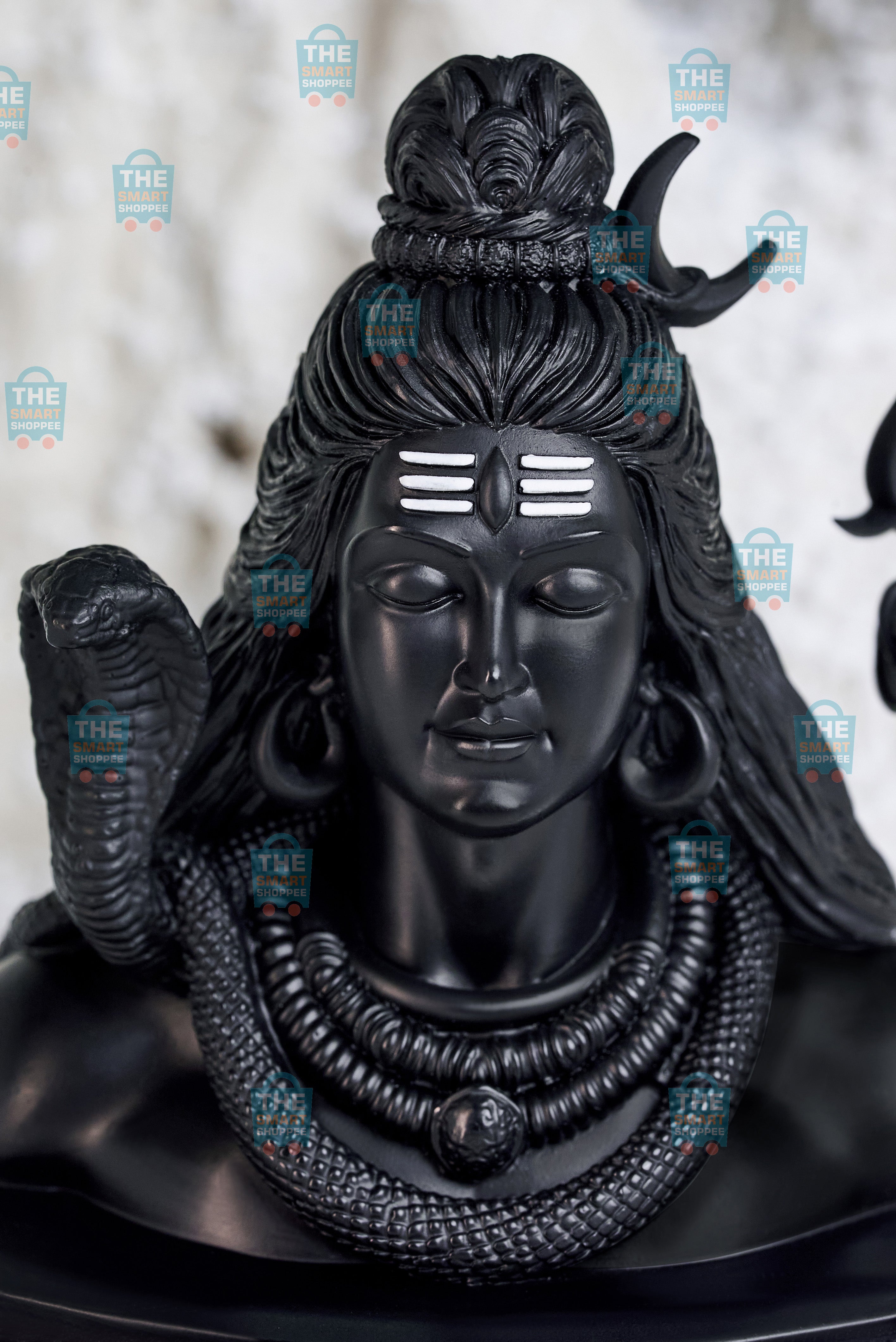 Yogeshwaraya Mahadevaya Sada Shivaya Shankaraya Namah