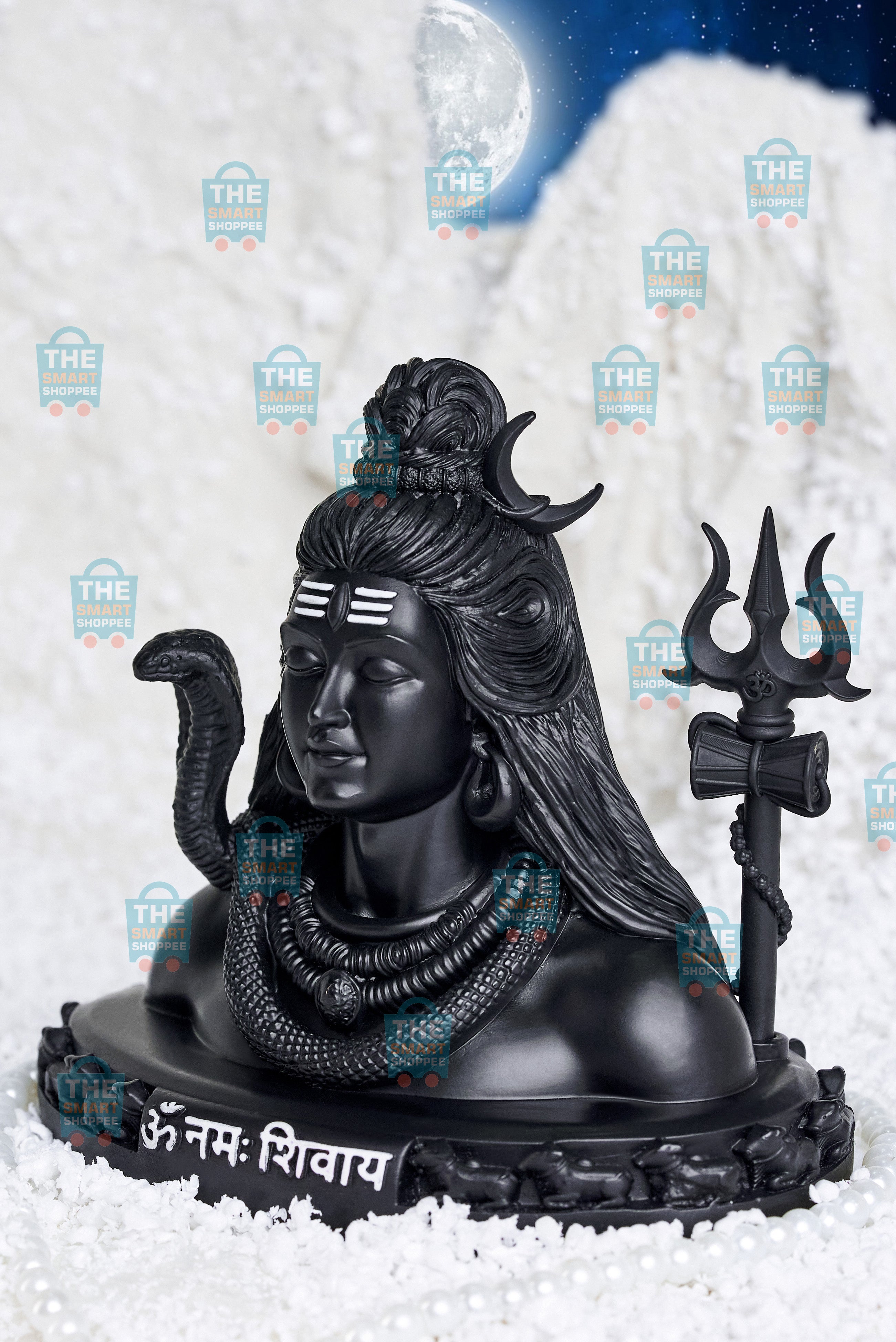 Yogeshwaraya Mahadevaya Sada Shivaya Shankaraya Namah